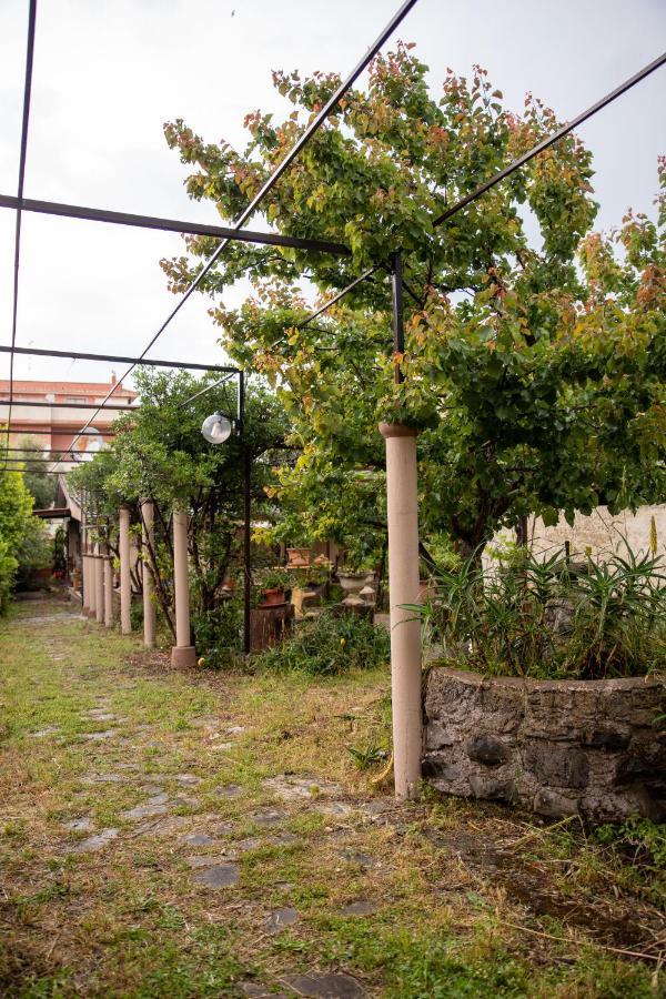 Suite Gli Ulivi Colonna Exterior photo